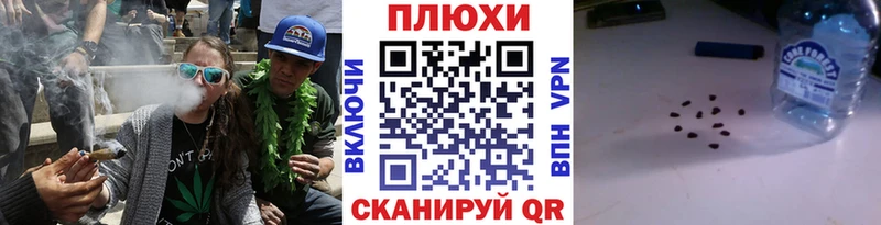 kraken   Сосновоборск  Гашиш Cannabis 
