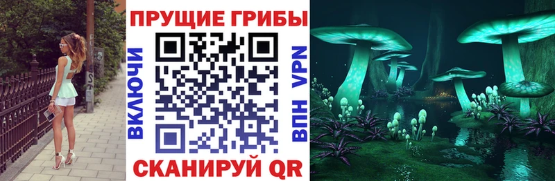 дарк нет официальный сайт  где продают   Сосновоборск  Галлюциногенные грибы Psilocybe 